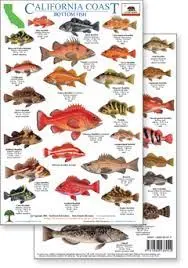 California Coastal Rockfish Identification & Regulations Guide