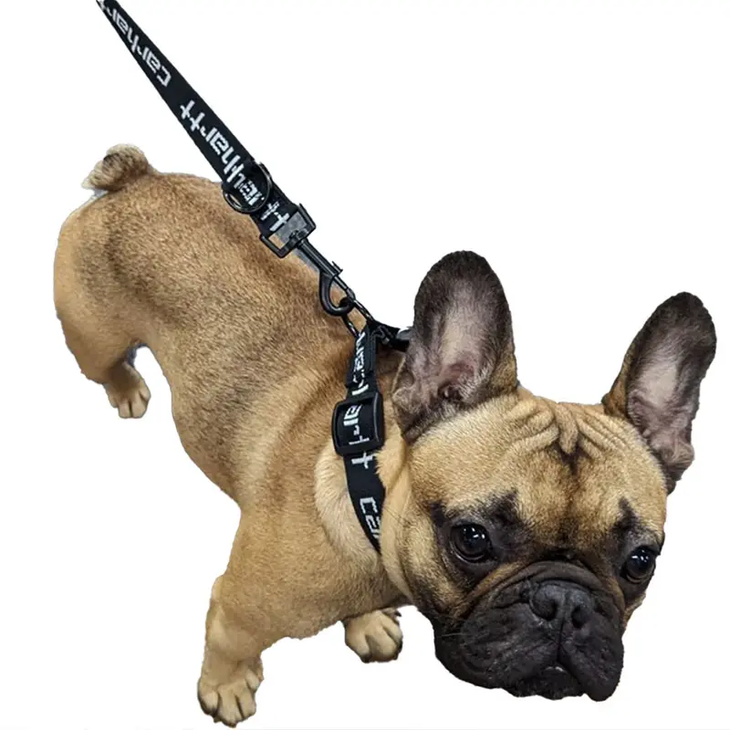 Carhartt WIP Script Dog Leash and Matching Collar