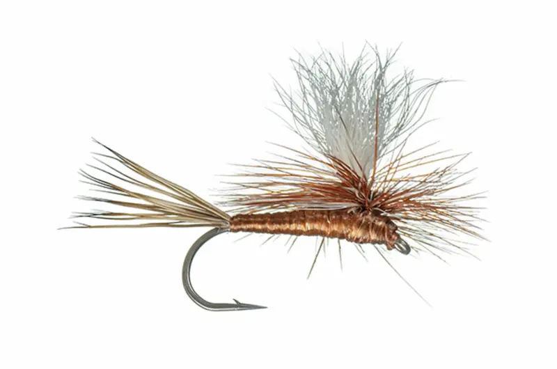 Carlson Copper Haze Attractor Dry Fly