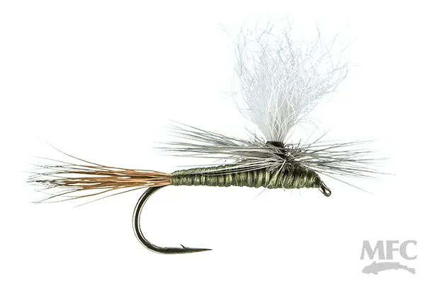 Carlson Olive Haze Mayfly Pattern
