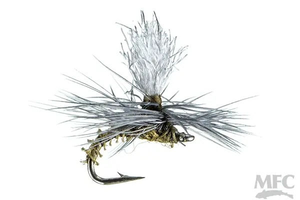 Christiaen’s GT Adult Blue-Winged Olive Fly