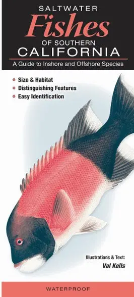 Field Guide to Southern California Saltwater Fishes