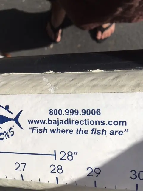 Fish Sticker Flexible Measuring Ruler for Anglers