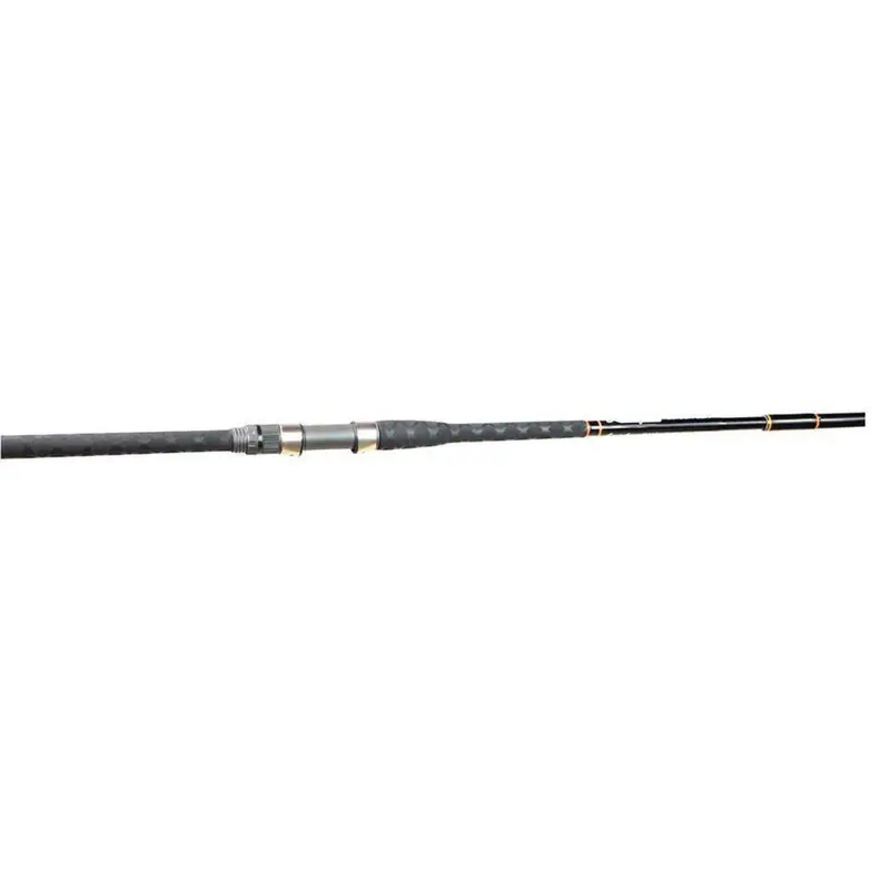 Lamiglas Carbon Surf Spinning Fishing Rod