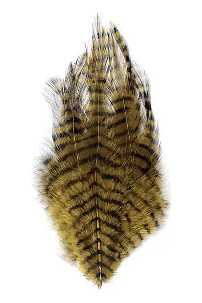 MFC Barred Saddle Hackle Dry Fly