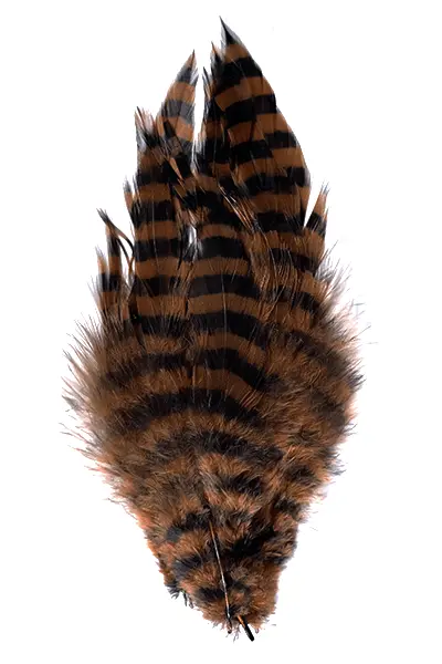 MFC Barred Schlappen Feather Pack