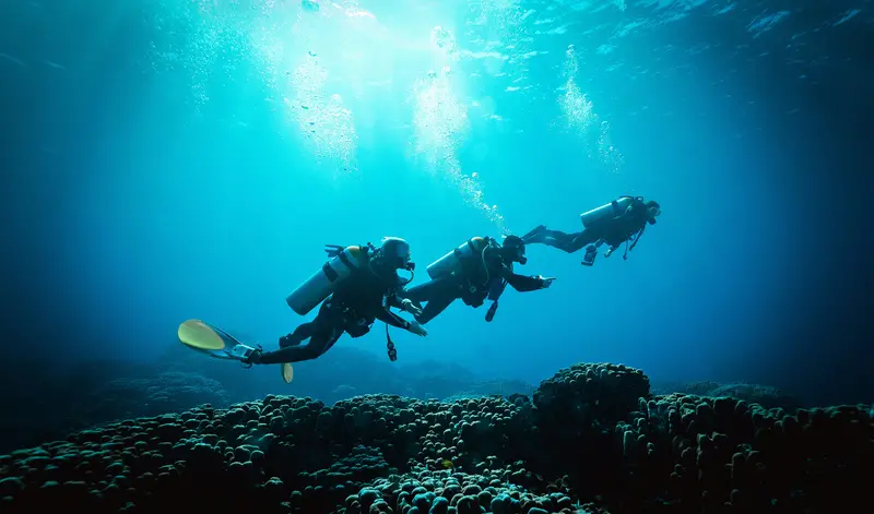 Open Water Scuba Diver Certification Course