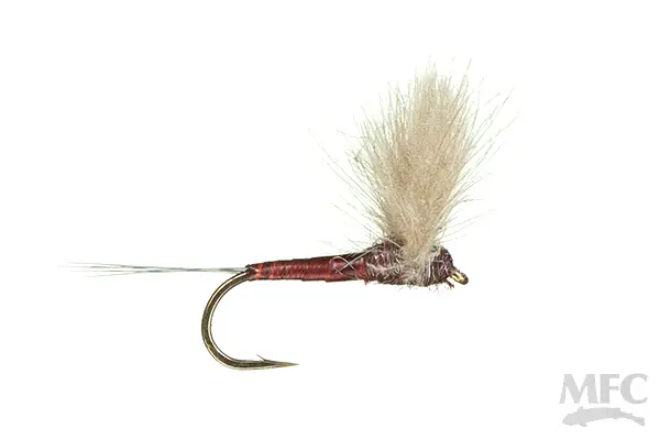Quill Body CDC Comparadun Dry Fly