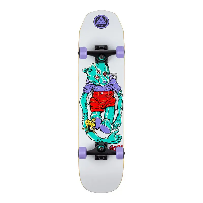 Welcome Teddy 7.75″ Youth Complete Skateboard