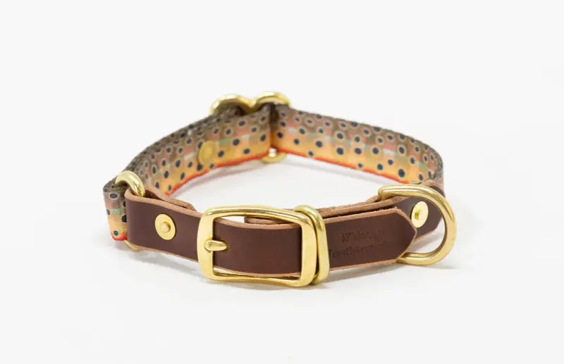 Whiskey Leatherworks Adjustable Dog Collar with Print Design